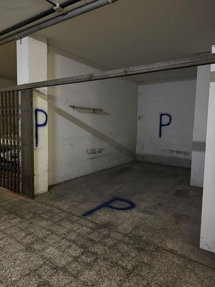 Parcheggio Padova centro: prenota in anticipo con Parkito