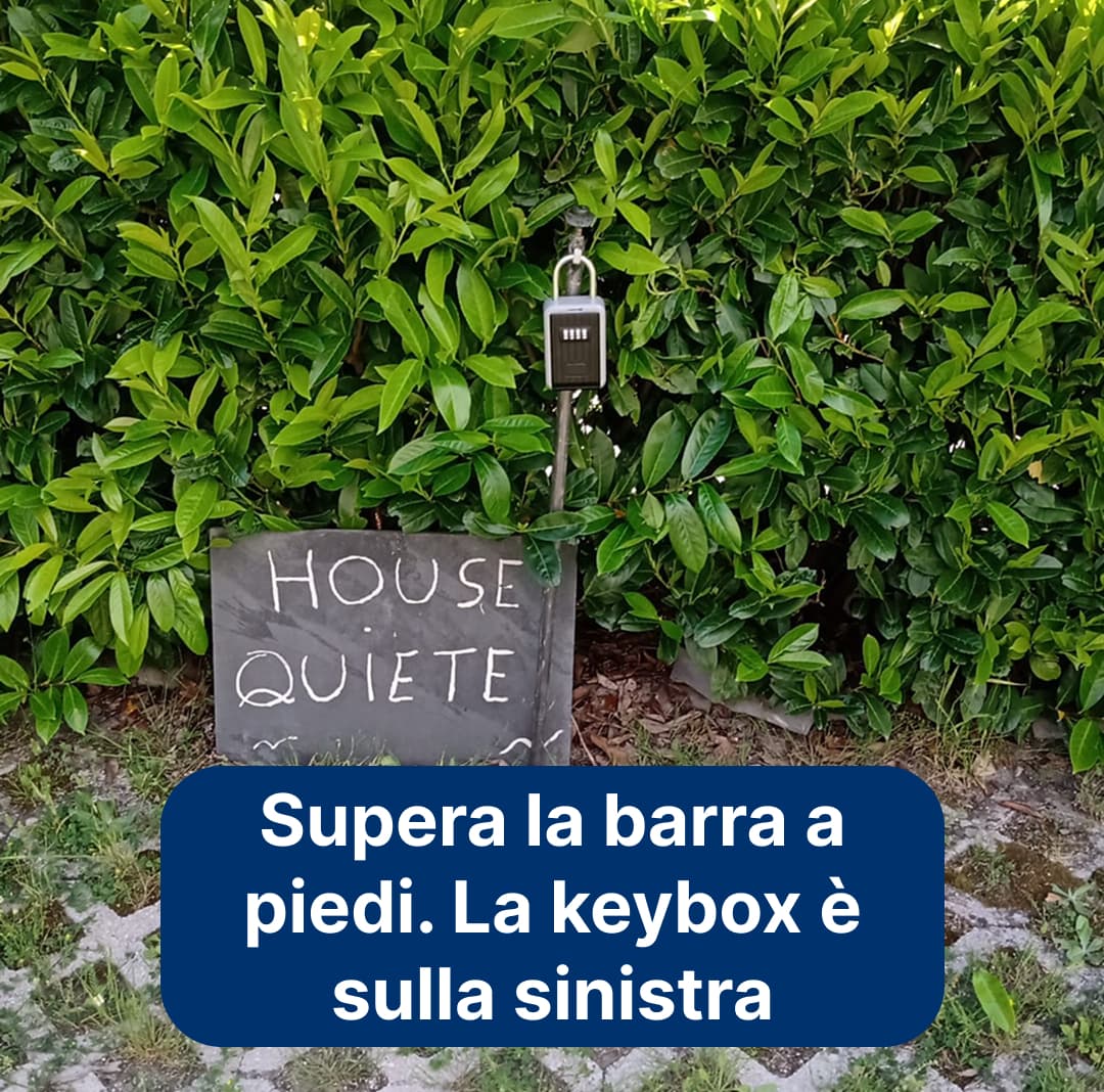 Copertina per Località Albero d'Oro 2