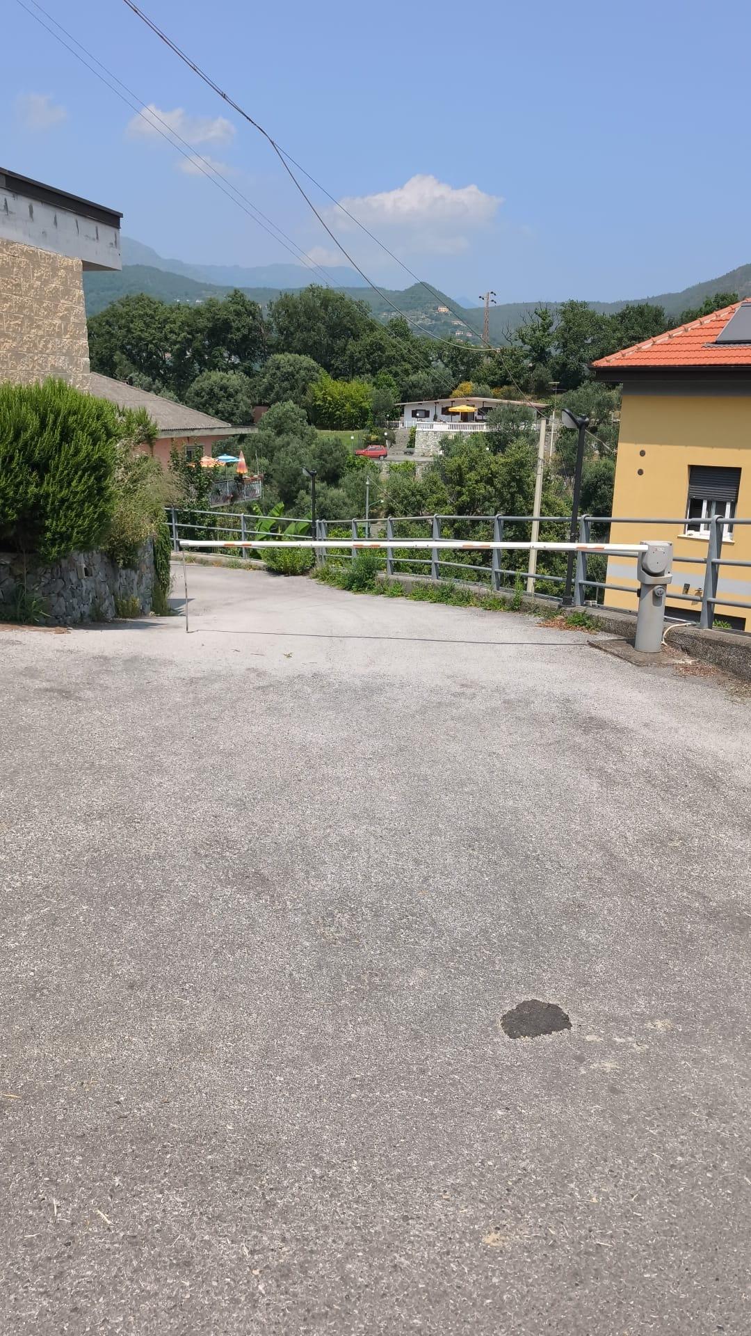 Copertina per Via dei Leoni